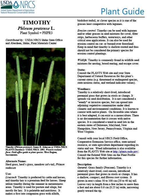 Plant guide for Timothy (Phleum pratense)