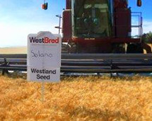 Westland Seeds - Agronomy