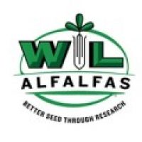 WL Alfalfa